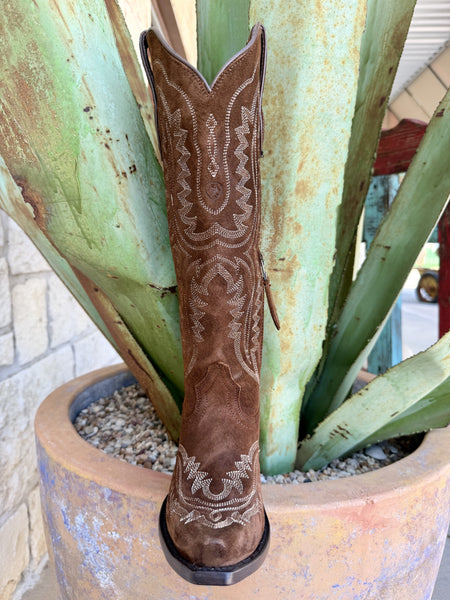 Women's Ariat Casanova Tall Suede Western Boot