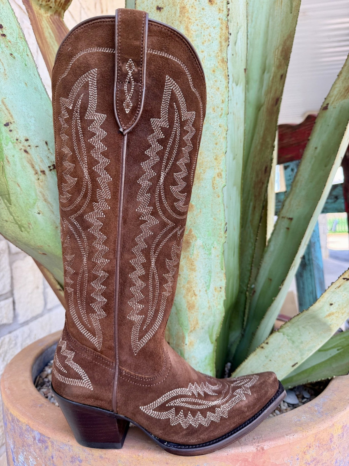 Front view of women's oiled tan suede Ariat Casanova tall western boot showing cream embroidery detail and snip toe — Blair's Western Wear Marble Falls TX