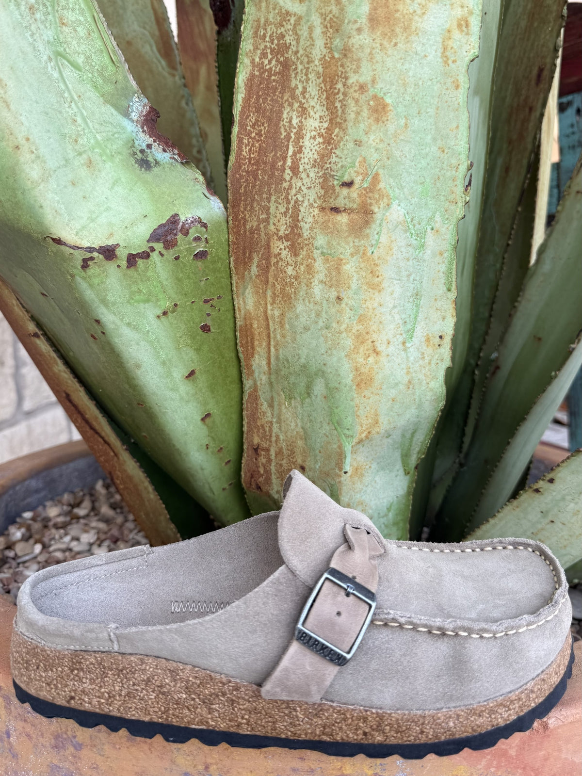 Birkenstock Buckley Suede Braid Sandal