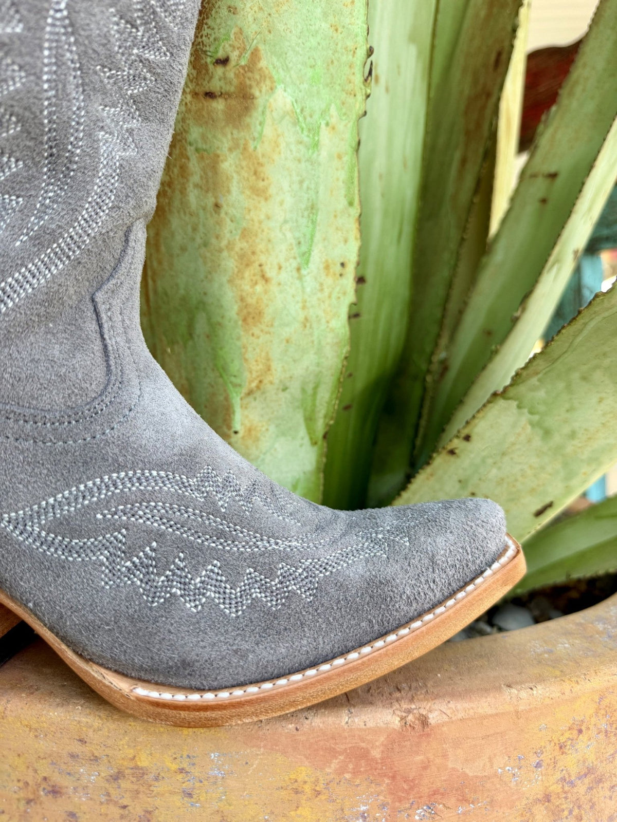 Women's Ariat Casanova Tall Suede Western Boot