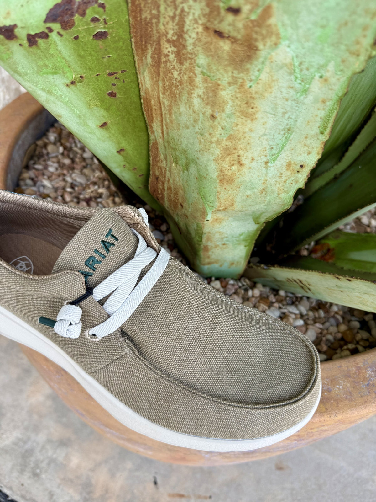 Men's Ariat Hilo Tan Duck Print Slip-On Shoes