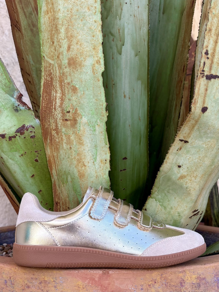 Metallic gold + cream suede, triple velcro straps, gum sole, agave backdrop