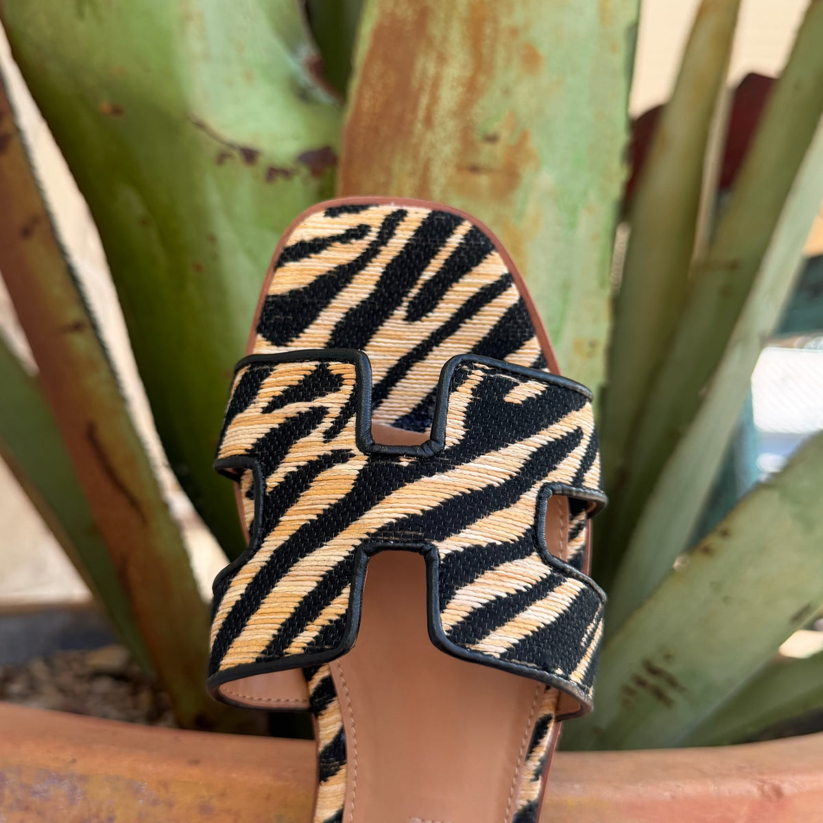 Women's Steve Madden Brown/Natural Zebra Slide