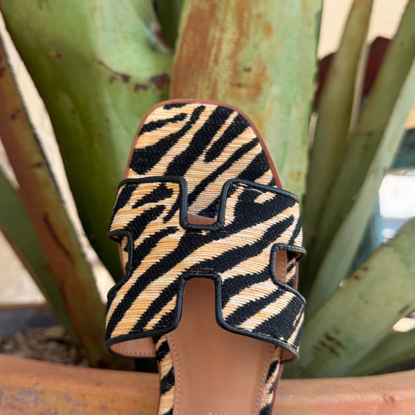 Women's Steve Madden Brown/Natural Zebra Slide