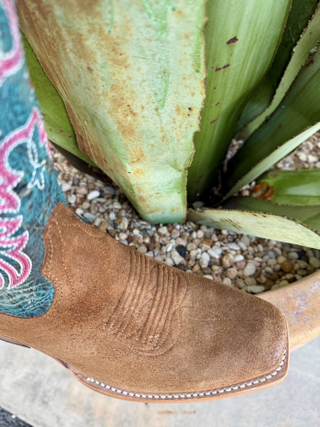 Women's Ariat Futurity Brown and Teal Western Boots