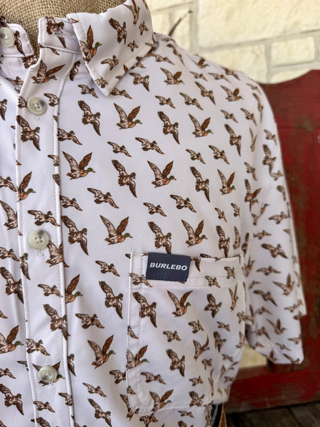 Men's Burlebo Short Sleeve Button-Up Duck Print Shirt