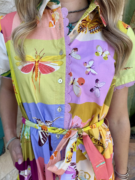Colorblock Butterfly Print Button-Front Midi Dress