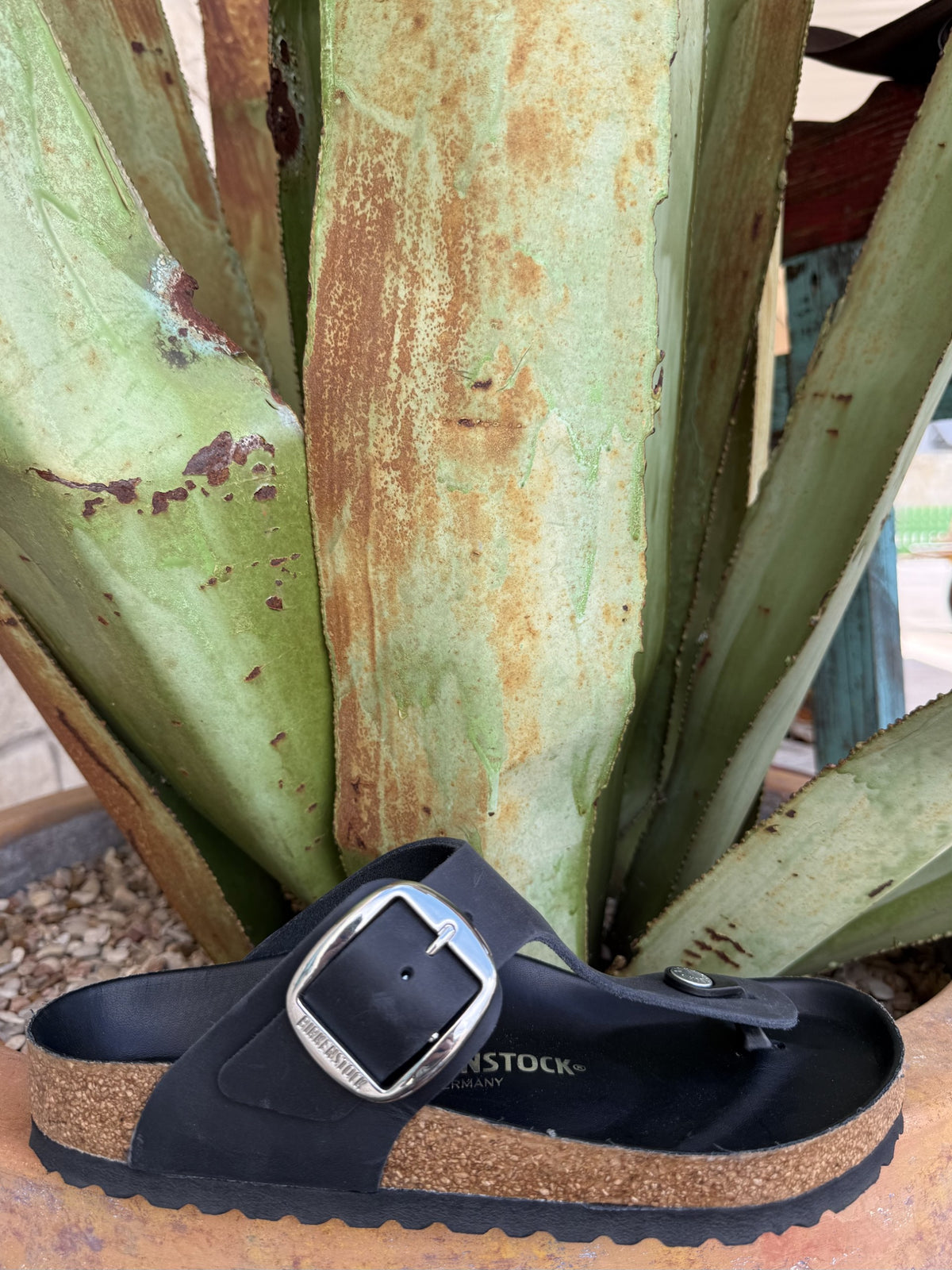 Black leather thong sandal with a toe post, contoured cork footbed, and oversized silver-tone buckle — Blair's Western Wear Marble Falls TX
