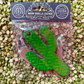 Callahan Leather cactus air freshener in green Aztec design, made from long-lasting fragrance-infused leather, with a durable double-layer build that stays flat – AFDBLCACGRNWVLA. Available at Blair's Western Wear, Marble Falls, TX.