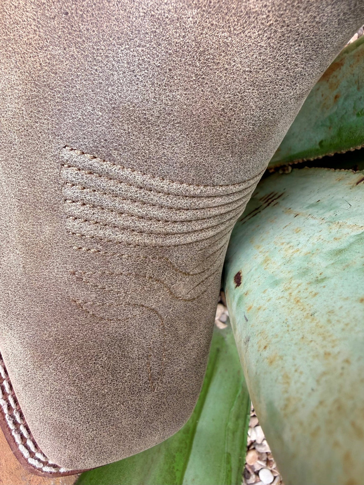 Ariat Women's Boot - 10074331