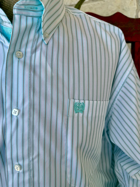 Men's Stripe Button-Down Long Sleeve Shirt