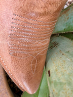Women's Tall Leather Western Boot