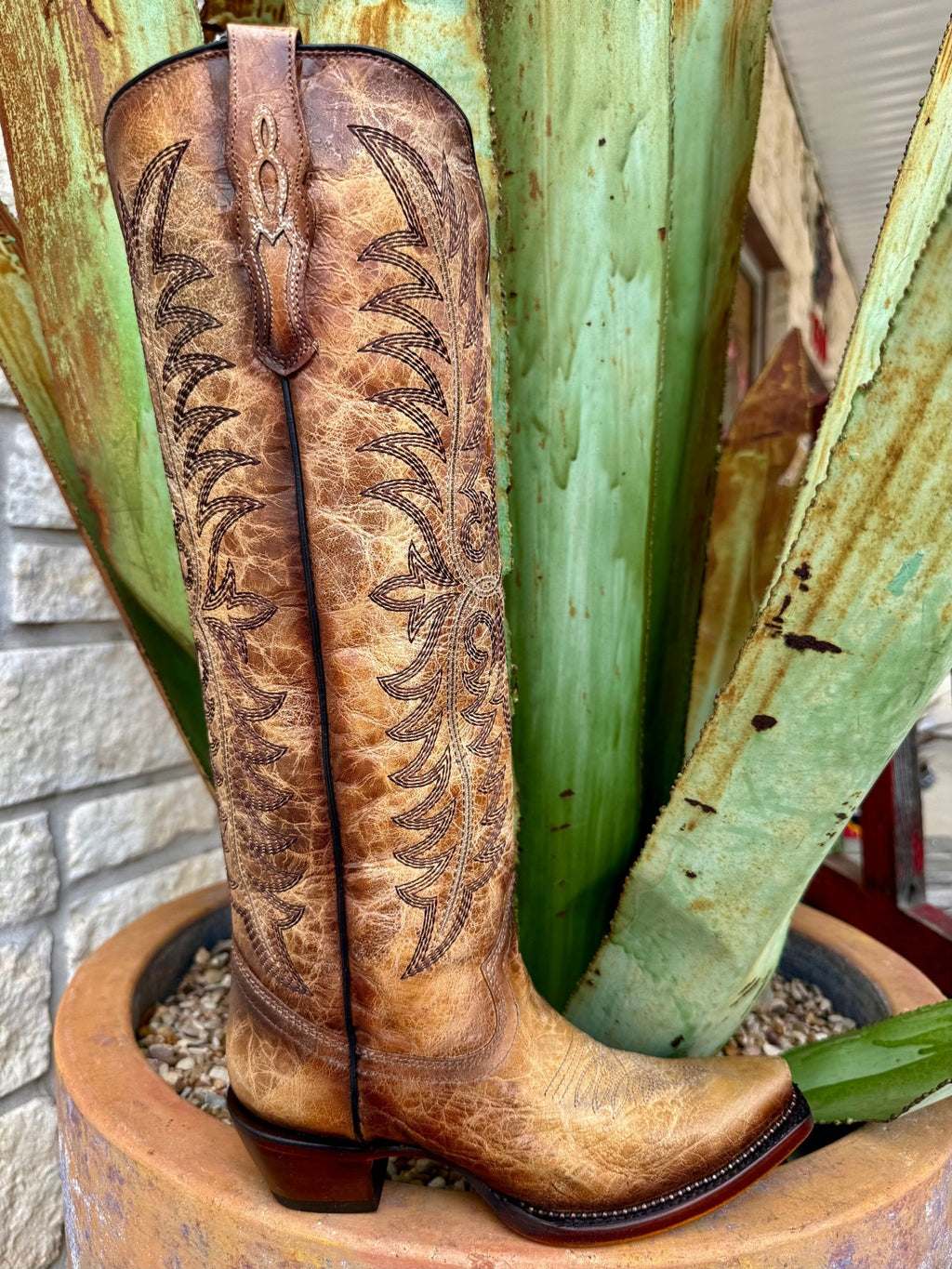 Women's Tall Embroidered Western Boot