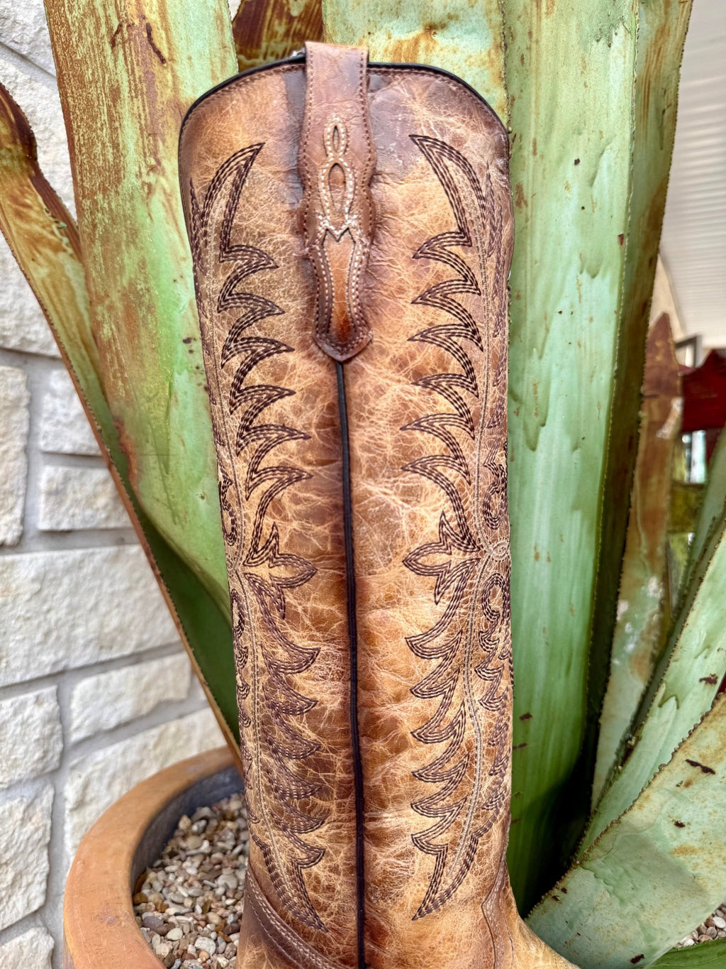 Women's Tall Embroidered Western Boot
