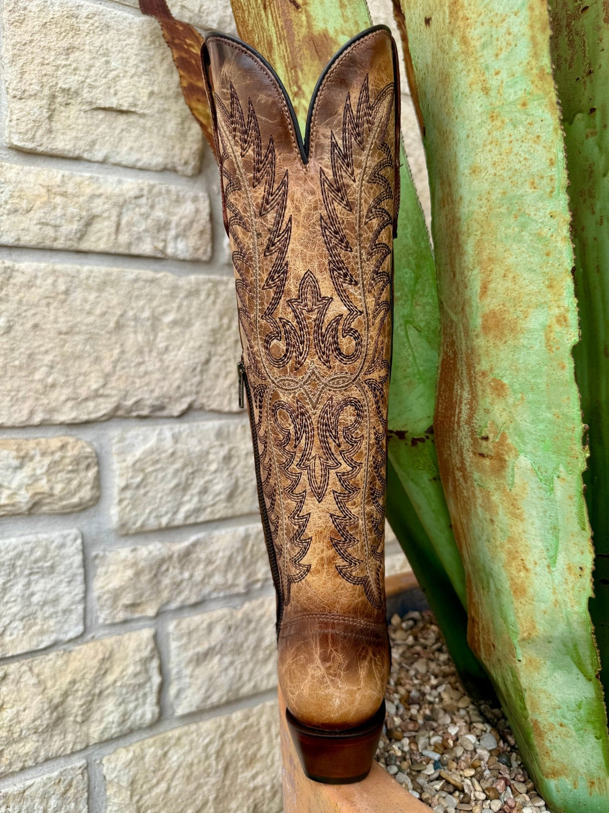 Women's Tall Embroidered Western Boot