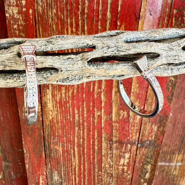 Montana Earrings - ER6325