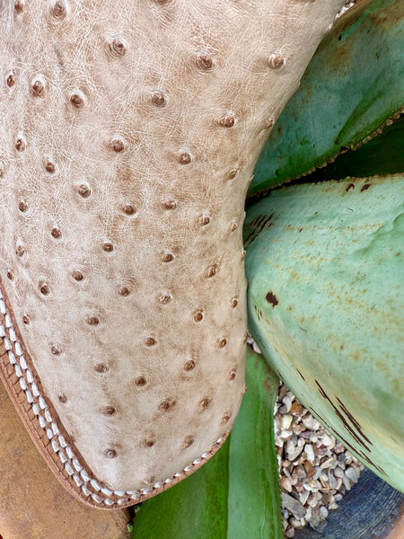 R. Watson Men's Boot - RW4525-2