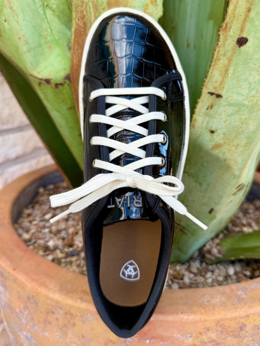 Women's Ariat Skylar Black Croc-Print Platform Sneaker