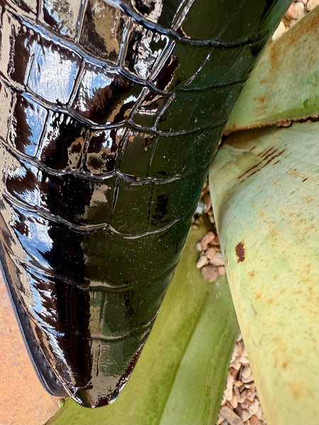 Ariat Women's Casanova Boot - 10063992