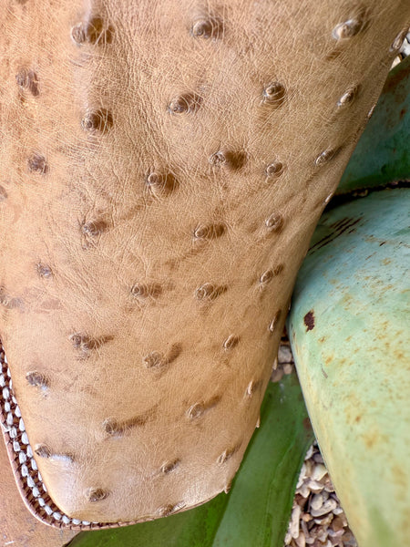 Ariat Men's Boot - 10063774