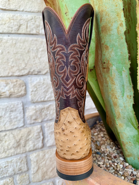 Ariat Men's Boot - 10063774