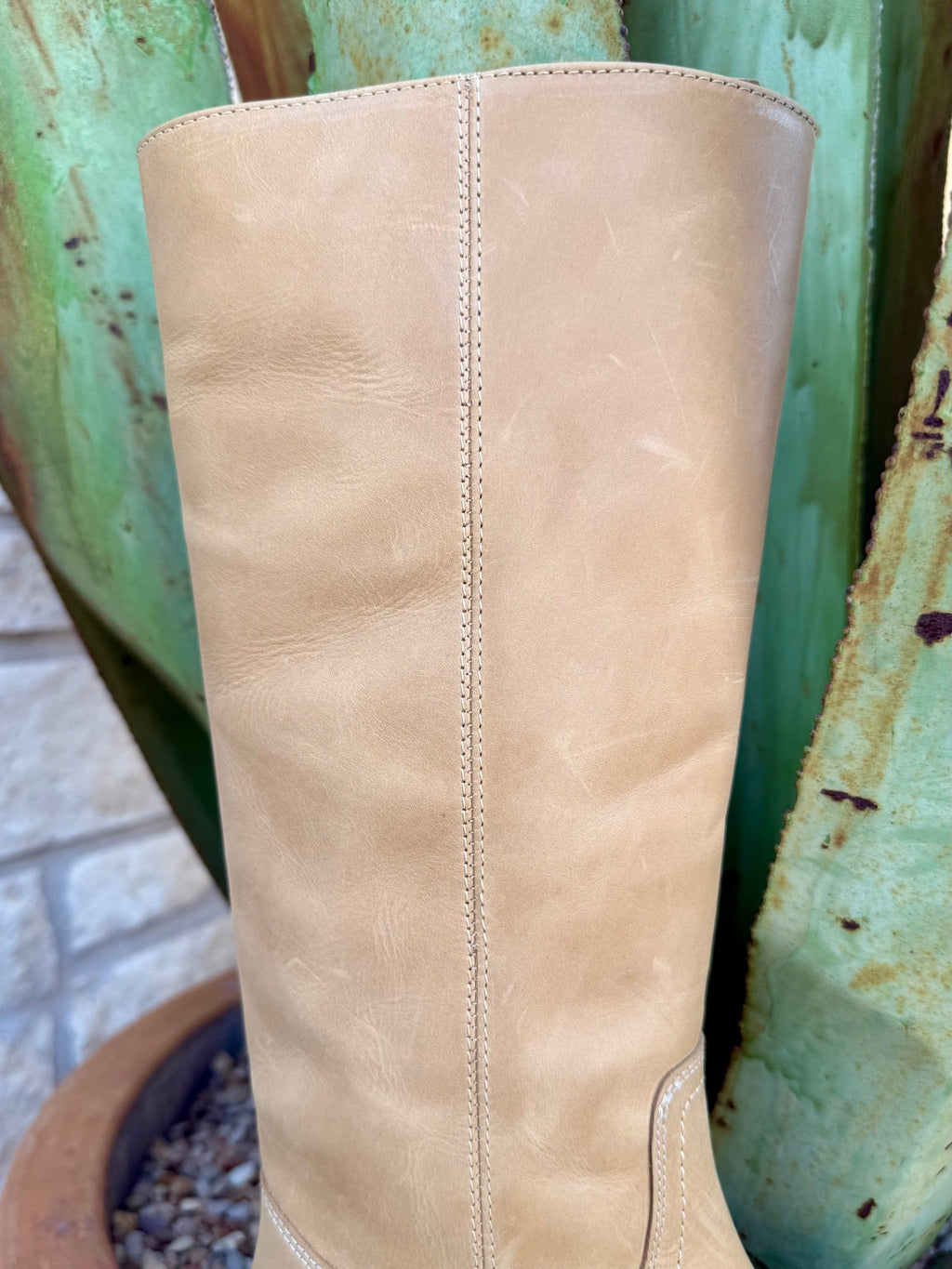 Ladies Steve Madden Boot - RIGGS