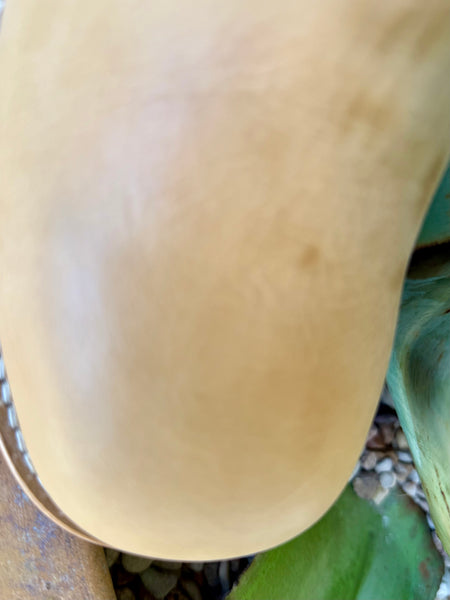 Ladies Steve Madden Boot - RIGGS