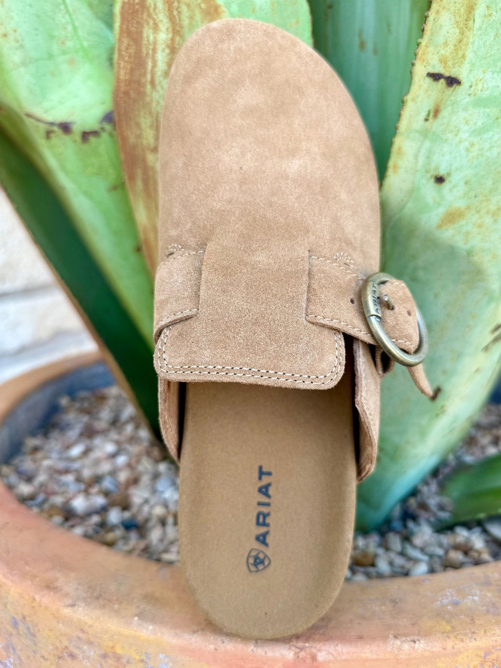 Women's Ariat Tan Suede Buckle Mule
