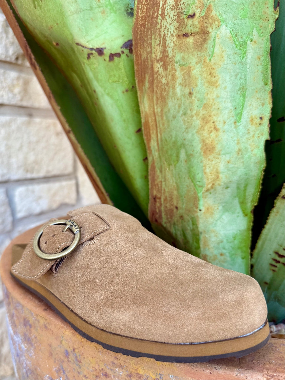 Women's Ariat Tan Suede Buckle Mule