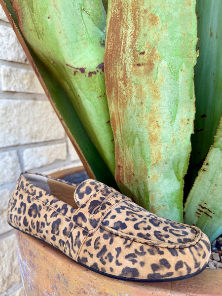 Ariat Women's Moccasin - 10061291