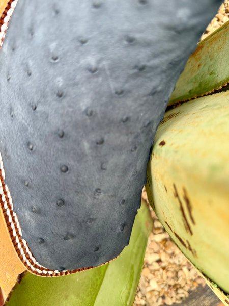 Tony Lama Men's Boot - HE6265