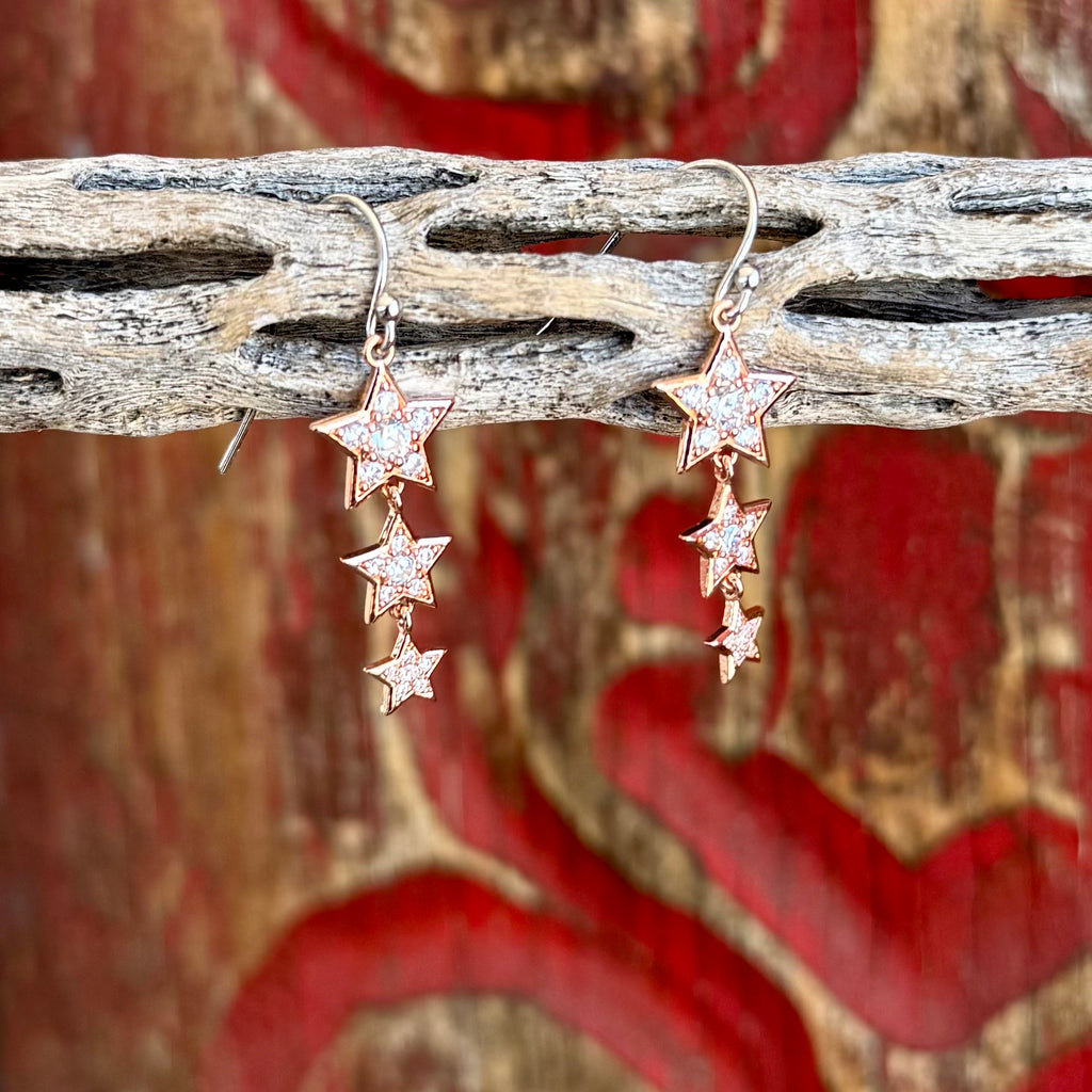Montana Earring - ER6311