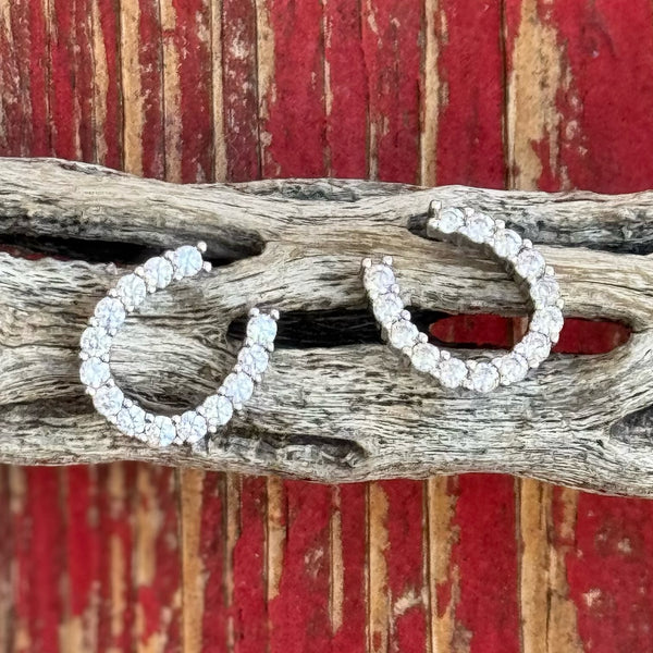 Montana Earrings - ER1251