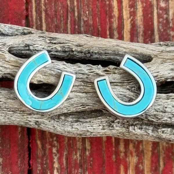 Montana Earrings - ER5807