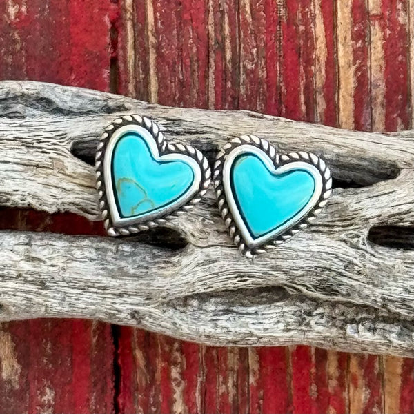 Montana Earrings - ER5807