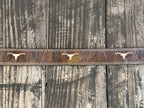 A close-up of a brown leather belt with three light-colored steer skull emblems, laid flat on a rustic weathered wood plank surface. Available at Blair's Western Wear, Marble Falls, TX