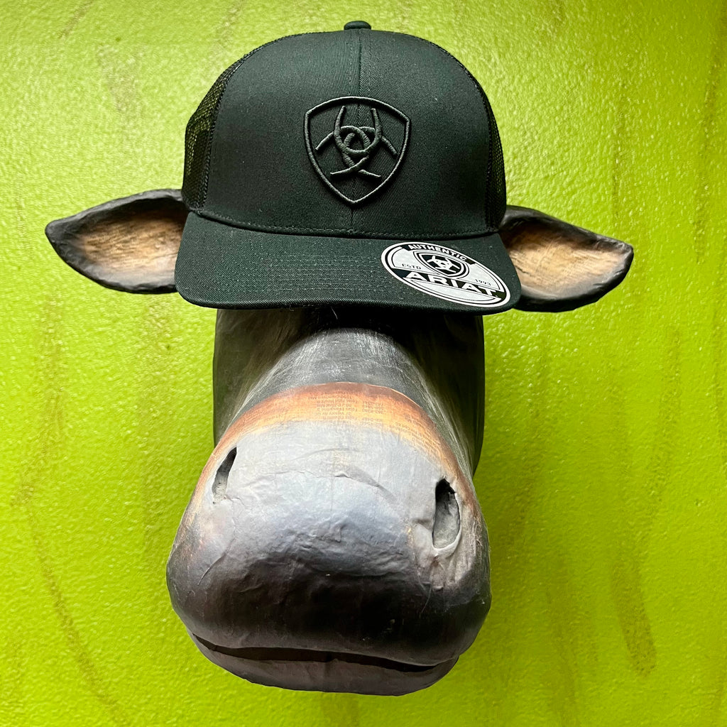 Men's Ariat Hat Trucker Cap in Black, Structured six-panel design holds its shape, with breathable mesh back for ventilation - A300053001. Available at Blair's Western Wear, Marble Falls, TX.