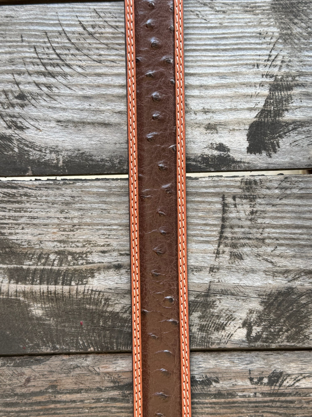Dark chocolate ostrich print leather with a tan leather trim edge and cream contrast stitching, finished with an engraved silver western buckle — a refined, two-tone exotic belt with the kind of texture and detail that elevates any western outfit.