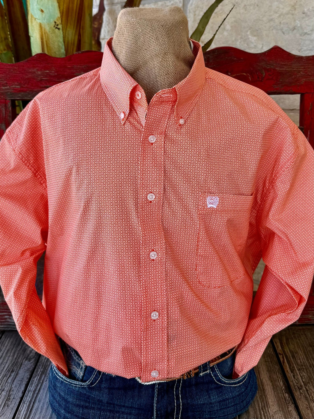 Men's Geometric Print Button-Down Long Sleeve Shirt