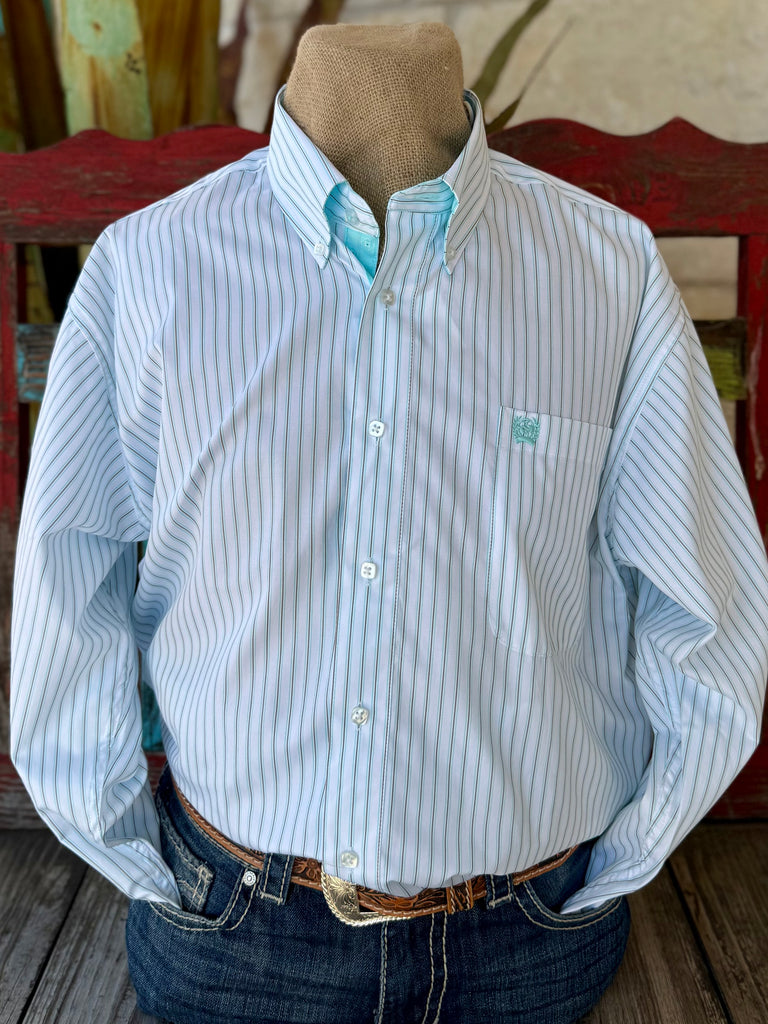 Men's Stripe Button-Down Long Sleeve Shirt