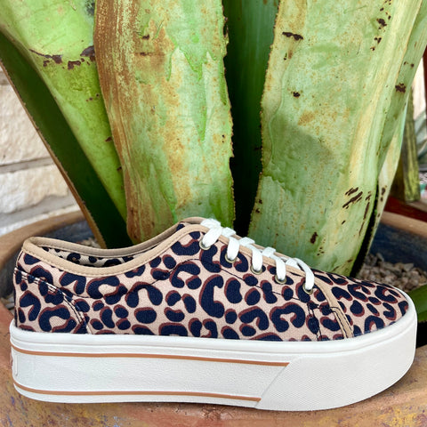 Women's Ariat Casual Shoes in leopard print, comfort with cushioning insole and durability with wear-resistant outsole - 10061133. Available at Blair's Western Wear, Marble Falls, TX.