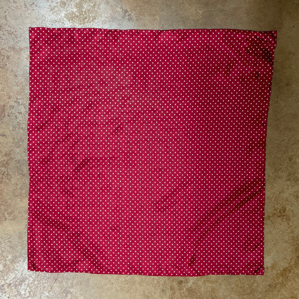 Wyoming Traders wildrag polka dot scarf in red and white, crafted from 100% silk for a soft, breathable feel, with rolled edges for durability - SSCR. Available at Blair's Western Wear, Marble Falls, TX.