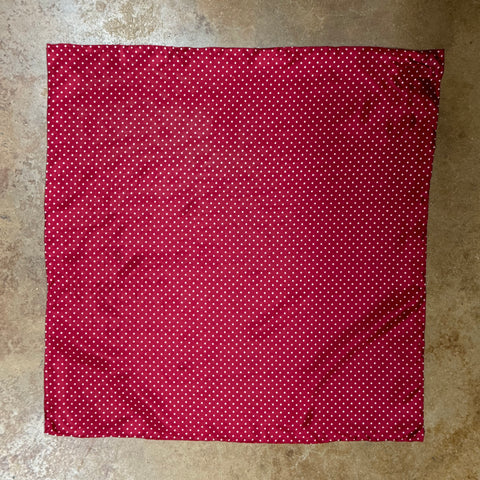 Wyoming Traders wildrag polka dot scarf in red and white, crafted from 100% silk for a soft, breathable feel, with rolled edges for durability - SSCR. Available at Blair's Western Wear, Marble Falls, TX.