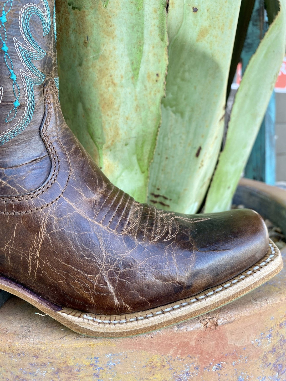 Ariat Women's Quincy Boot - 10050889