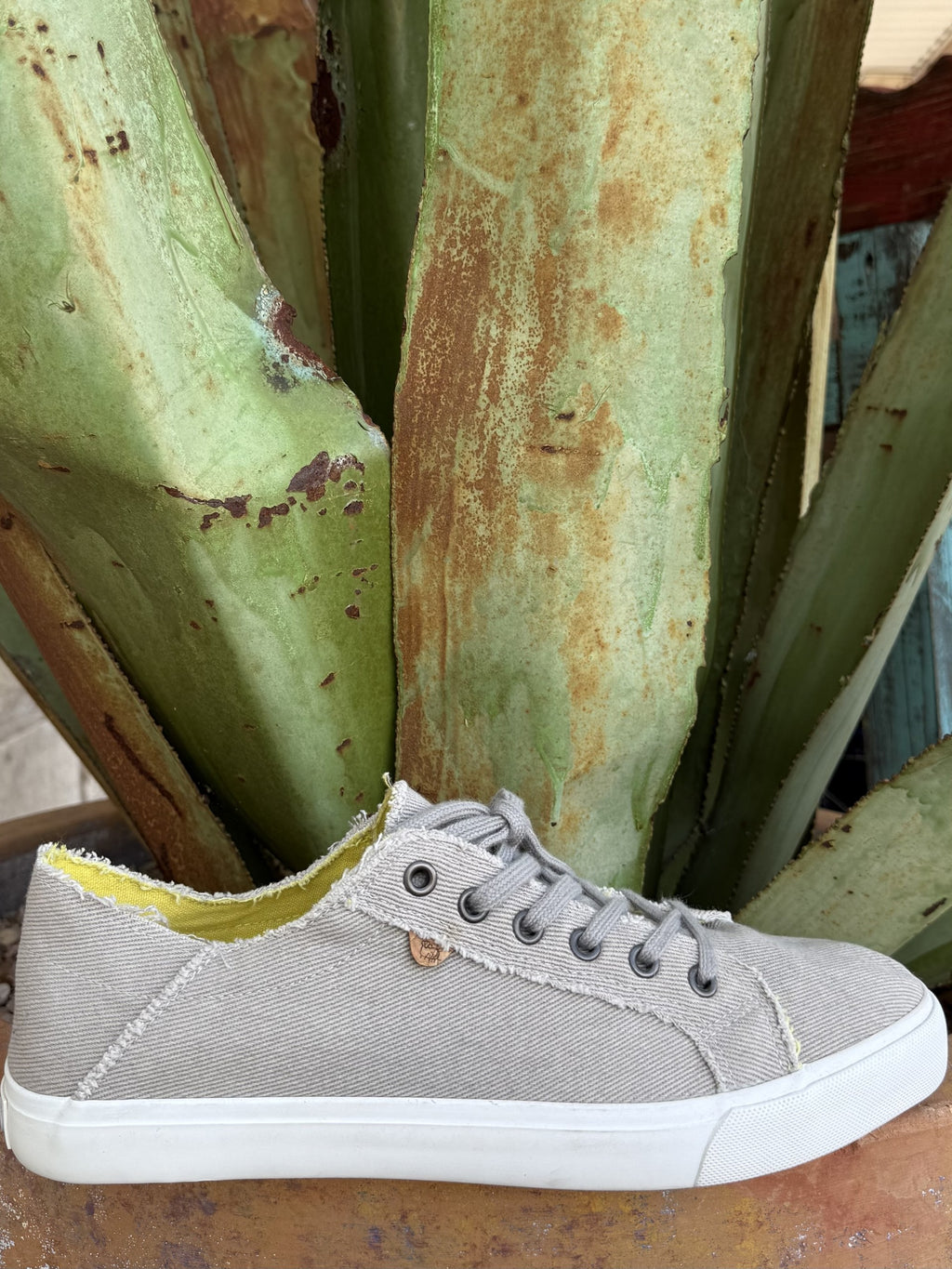Women's Washed Grey Canvas Lace-Up Shoe