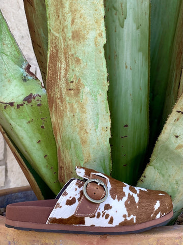  Women's brown and white hair-on-hide cowhide slip-on mule with silver O-ring Ariat buckle strap, round toe, and contoured brown footbed — Blair's Western Wear Marble Falls TX