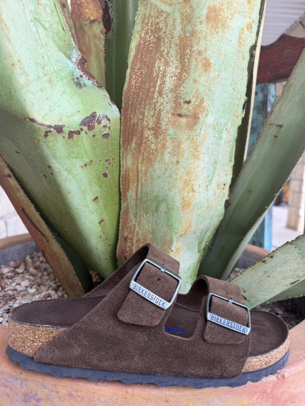 Women's chocolate-brown Carafe nubuck two-strap sandal with adjustable metal buckles and a cork footbed — Blair's Western Wear Marble Falls TX