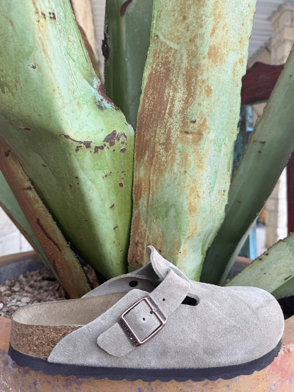 Women's taupe suede closed-toe clog with an adjustable metal buckle and cushioned cork footbed — Blair's Western Wear Marble Falls TX⠋