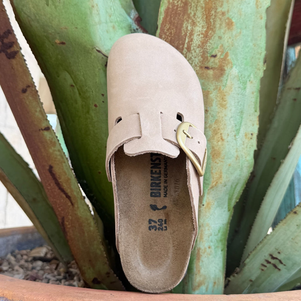 Birkenstock Boston Big Buckle Clog