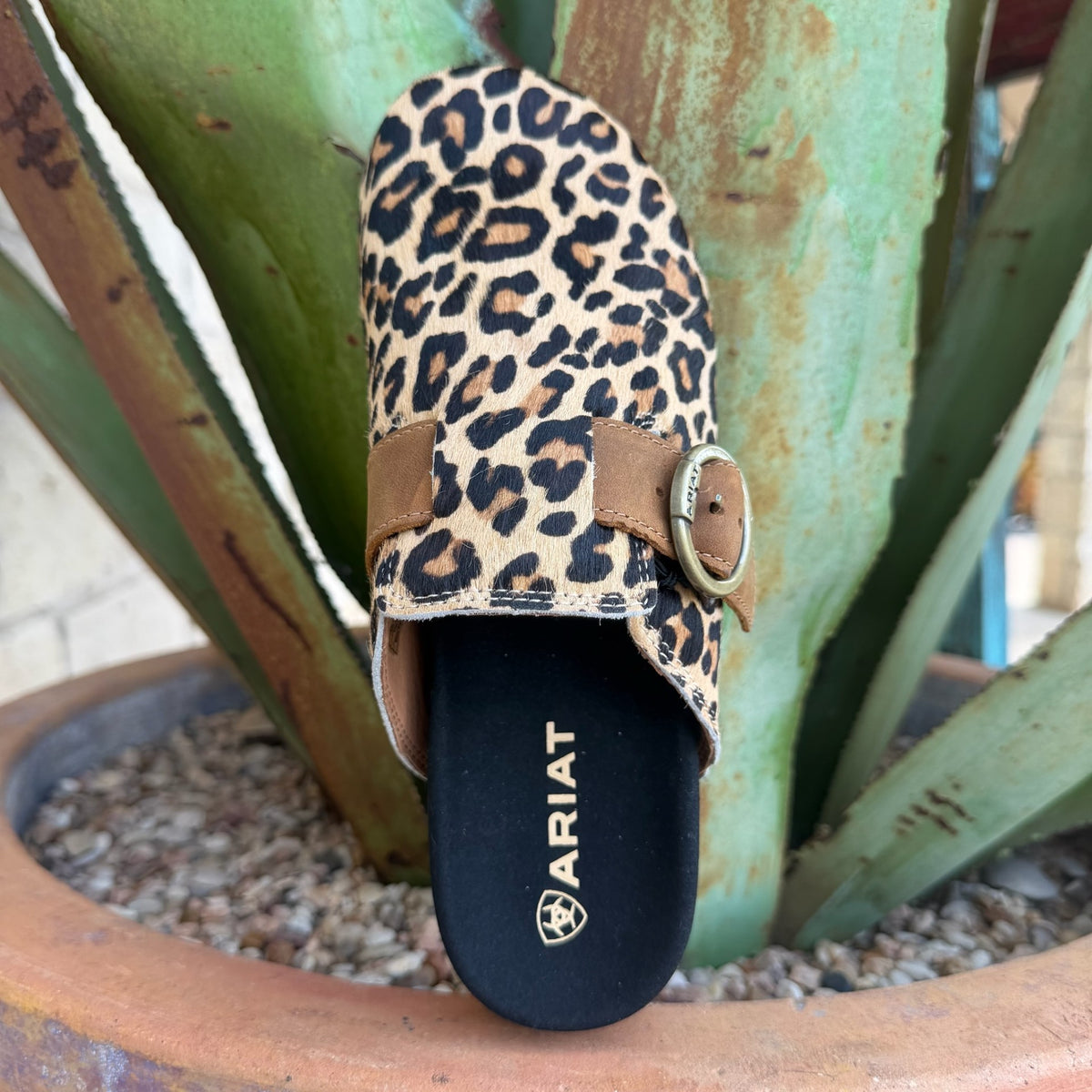 Women's Ariat Leopard Hair-On-Hide Buckle Mule